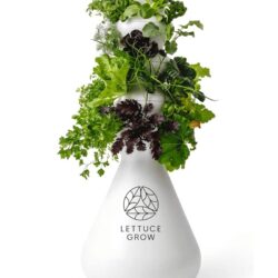 Lettuce Grow
